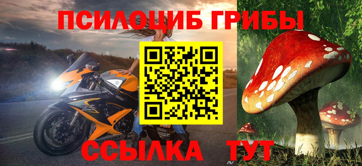 где продают наркотики  Вход с VPN  Галлюциногенные грибы Psilocybe  Прохладный  Галлюциногенные грибы Psilocybine cubensis 